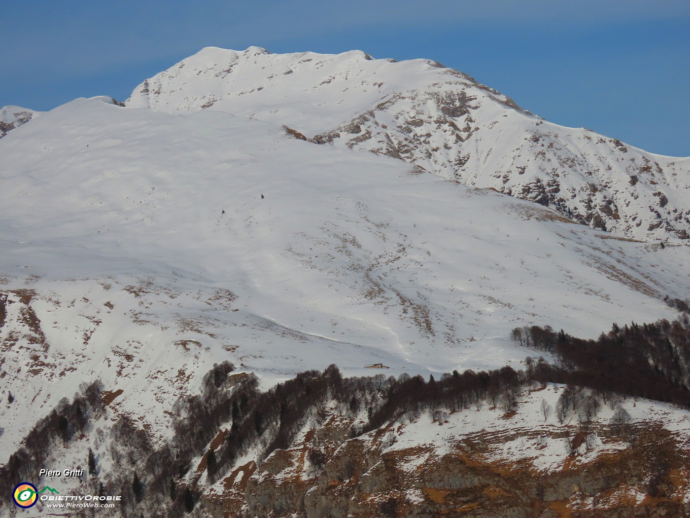 47 I grandi faggi alla base dell'Arale di Cima Menna.JPG